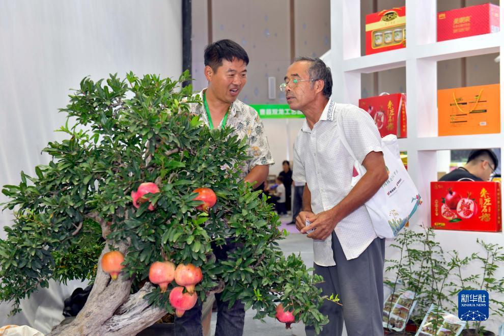 普京登录网址